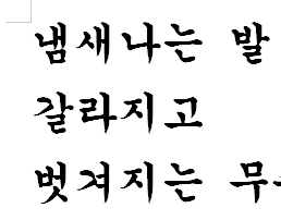 Ưȿ (ǰ 5 ̻ Ž) 鹫*Ǹʽϴ*